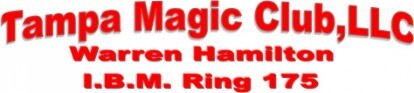 Tampa Magic Club Logo